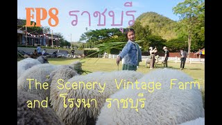 EP 8 เที่ยว The Scenery Vintage Farm และ โรงนา ราชบุรี