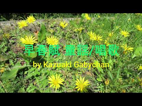 1913 早春賦 童謡/唱歌 ダークダック Children's Song "Soshunfu" Dark Ducks  "Early Spring Melody"  Kazuaki Gabychan