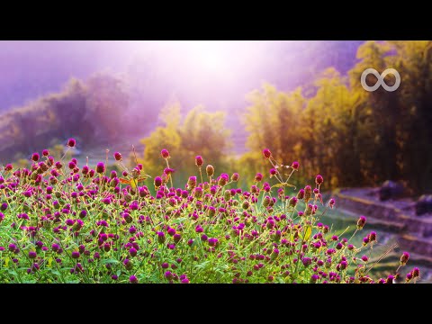 10 Hours of Relaxing Music - Sleep Music, Piano Music for Stress Relief, Sleeping Music (Dylan)