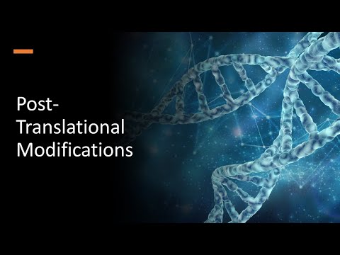 Post Translational Modifications