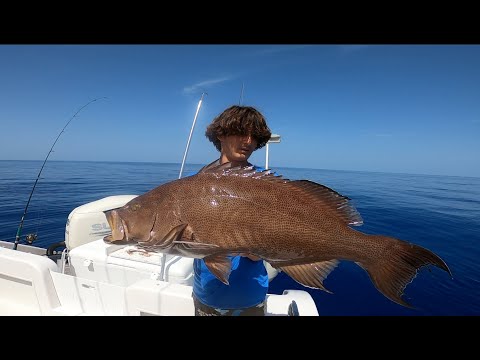 Offshore GrandSlam!! Scamp, Red Grouper, Red Snapper Limit