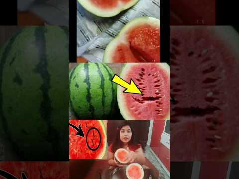 जहरीले कैमिकल वाले तरबूज को कैसे पहचाने?good watermelon and bad watermelon,tarbuj ki pahchan #shorts