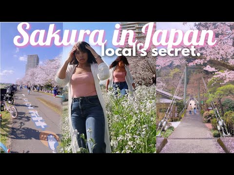 Can you keep a secret? Only locals know about these places! 🌸 | Life in Japan