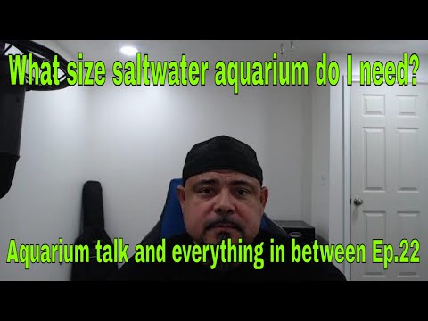 What size saltwater aquarium do I need?