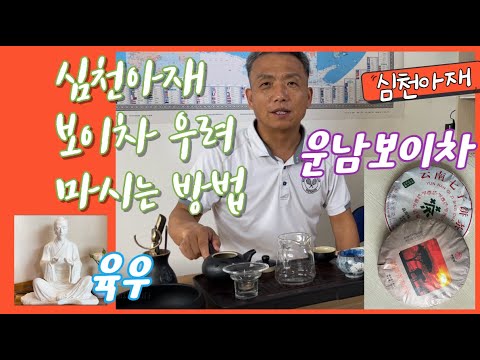 심천아재 보이차 우려먹는방법