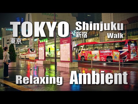 新宿 / Night walk in Shinjuku, Tokyo, Relaxing Ambient ( November 10, 2024 )