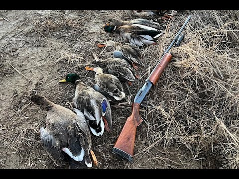 Duck Hunting 2022 Opening Day In Arkansas