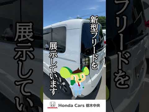 【HondaCars栃木中央】新型FREED発表になりました！#shorts