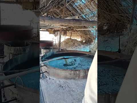 Jaggery MAKING-AUTOMATIC process#jaggery #sugarcane #shorts