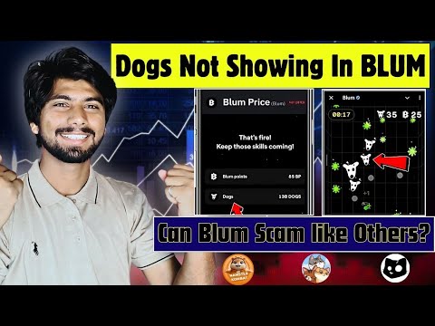 Earn Dogs on Blum Game | blum me dogs nhi aa raha hai, blum airdrop update