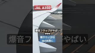 【爆音フラップ】JALの最新鋭機A350のフラップはものすごい爆音です!!!翼の上を''あえて''指定しましょう！