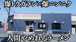 【禁断】一度これに手を出すと人間やめれる中毒性タンタンメン