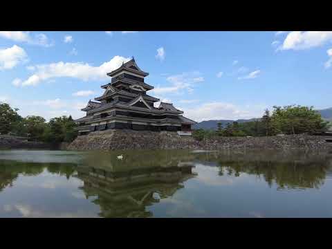 Daily Life in Japan | Lonely Swan in the Matsumoto Castle 🦢