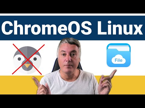 How to change Linux icons on your Chromebook - ChromeOS Linux