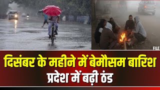 MP Weather Update: मध्यप्रदेश में बेमौसम बारिश। राजधानी समेत कई शहरों में कोहरे का असर