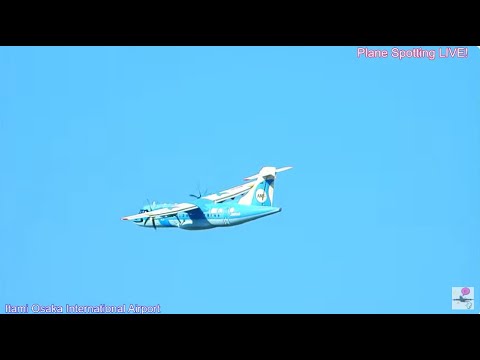 天草エアライン・みぞか号到着・出発 伊丹空港ライブ配信!  Plane Spotting Live!  Osaka International Airport 12/25/2024