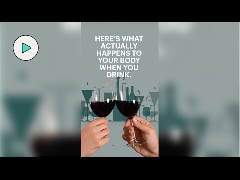 What Actually Happens To Your Body When You Drink?