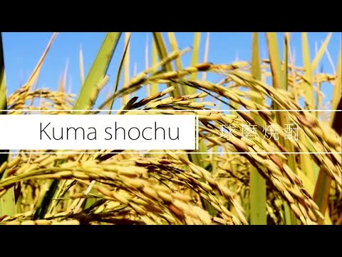 Kuma shochu