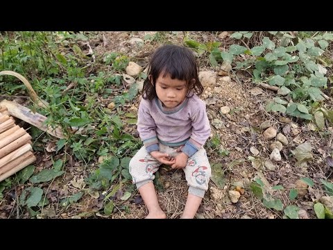 Poor father and son harvest agriculture, forestry, and fishery, building a new life