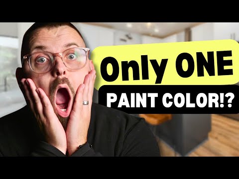 Painting Your ENTIRE House With ONE Color? NEVER Do This Unless...