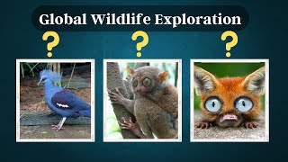 Wildlife Wanderlust: Global Wildlife Exploration