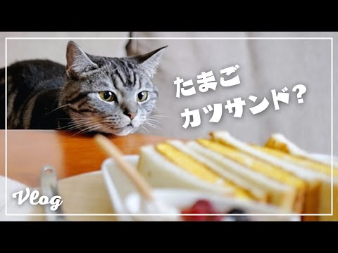 妻がたまご焼きをカツサンドにしたら愛猫が・・・