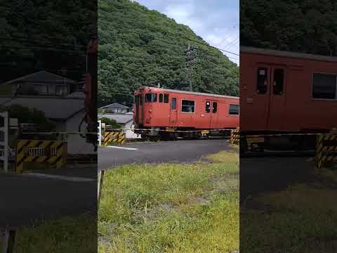 快速ことぶき  珍しい47+40の編成#津山線#jr西日本