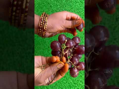 Grapes version 2.0🍇😍#like #share #subscribe #youtubeshorts