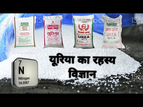 यूरिया केसे कम करता है।urea fertilizer nitrogen