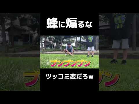 蜂にビビる中学生#ちょんまげ小僧