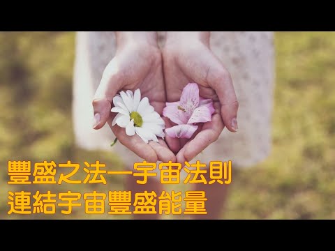 豐盛之法——宇宙法則：連結宇宙豐盛能量｜關係花園｜關係聊天室 feat. 宇宙流