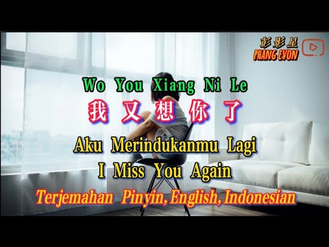 Wo You Xiang Ni Le 我又想你了 Terjemahan Indonesia Pinyin English