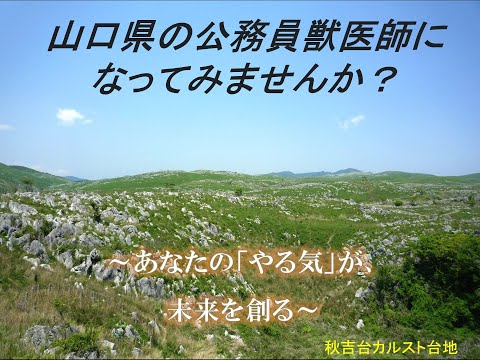 ★R6山口県PR（公務員獣医師になろう！）