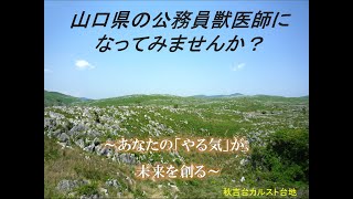 ★R6山口県PR（公務員獣医師になろう！）