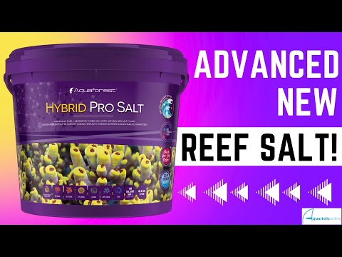 Product Spotlight - AF's new Hybrid Salt!