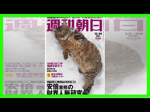 95年の歴史上初！週刊朝日が丸ごと一冊ネコ特集 ｜ ガジェット通信 getnews