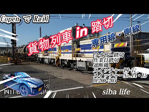 【貨物列車 in 踏切 通過、専用線・側線】Freight train Railway Railroad   2024.11.9 siba life  #貨物列車 #踏切 #通過   .