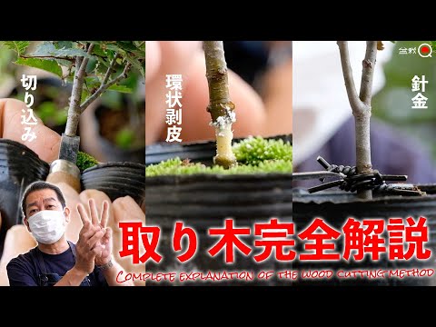 Complete explanation of 3 types of layer methods [Bonsai Q]