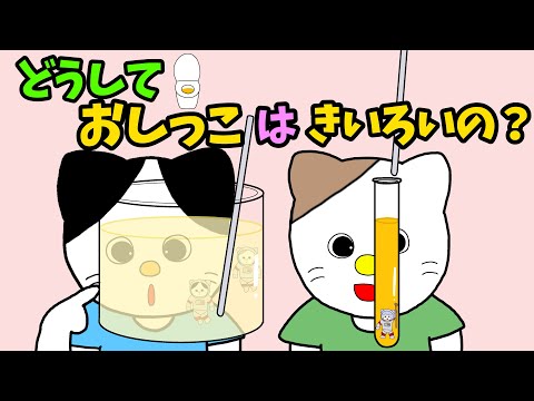 【アニメ 絵本読み聞かせ】どうしておしっこは黄色いの？