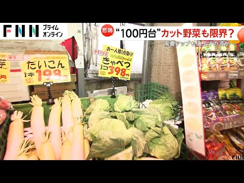 【怒り】価格高騰中のキャベツ狙った窃盗事件が相次ぐ　茨城県内では1200個盗まれる被害も…農家は憤り「頭にくる」　カット野菜も値上げ検討？