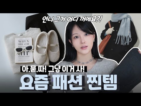 [그냥이거사!!] 요즘 패션 찐템 💖☃️ 겨울 패션하울 (N년째 패딩 /방한팬츠/워머/데일리백/니트) 대학생 직장인 데일리룩 코디 ✔️최다 코디템