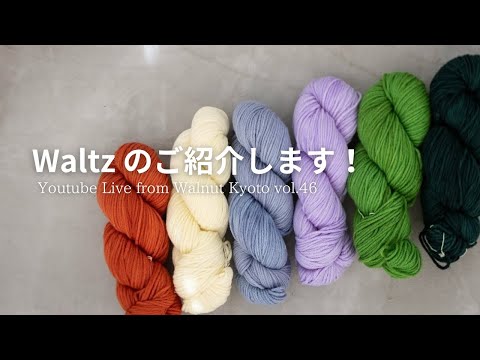 今週のライブは金曜日！ Waltzご紹介 [Youtube Live from Walnut Kyoto vol.46]