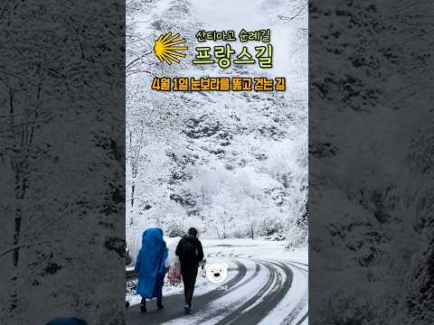 4월에 순례길을 시작하면? #산티아고순례길 #눈보라 라