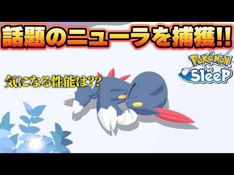 ニューラさん！仲間になってえええええ！！【ポケモンスリープ】