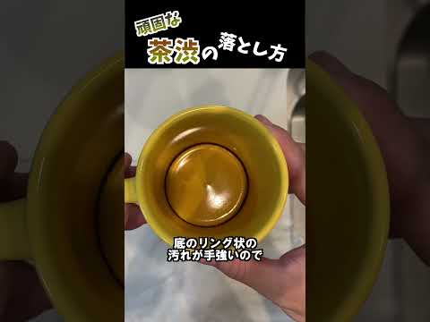 【簡単】コップの茶渋の落とし方