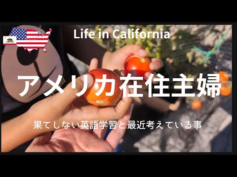 【アメリカ在住主婦】果てしない英語学習と最近考えていること｜今週のTrader Joe's, Costco買い出し｜我が家の和風パスタ