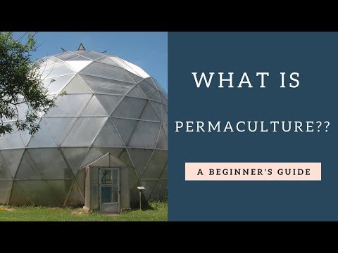 What Is Permaculture - A Beginners Guide