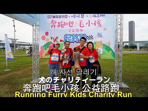 2019 Let’s Run Pet Charity Run Metropolitan Park