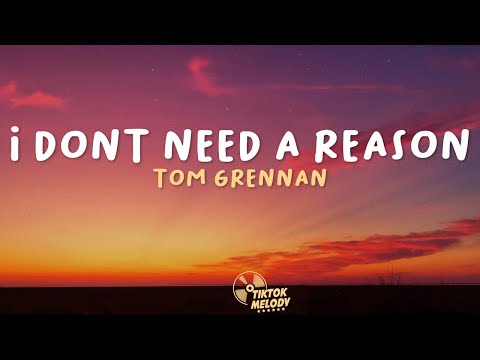 Tom Grennan - I Don't Need A Reason (Lyrics)