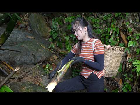 Earn $10 from picking and processing wild bamboo shoots for sale